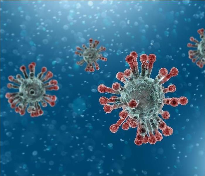 Close-up of virus cells on a blue background