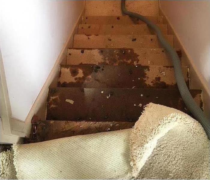 Carpet pulled back on stairs