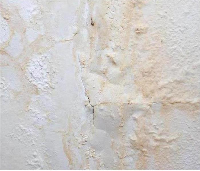 White wall with bubbling paint and mold spots